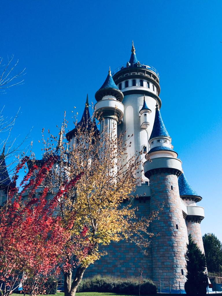 19b73961-da86-4303-9131-bdbbf51bfd19