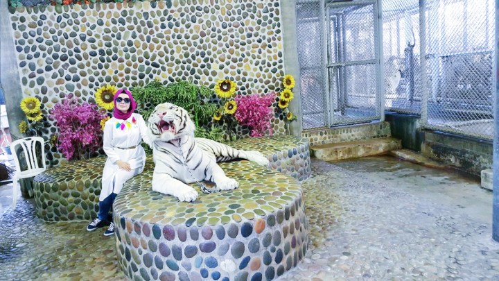 2019-02-03 10.39.18 1.jpg