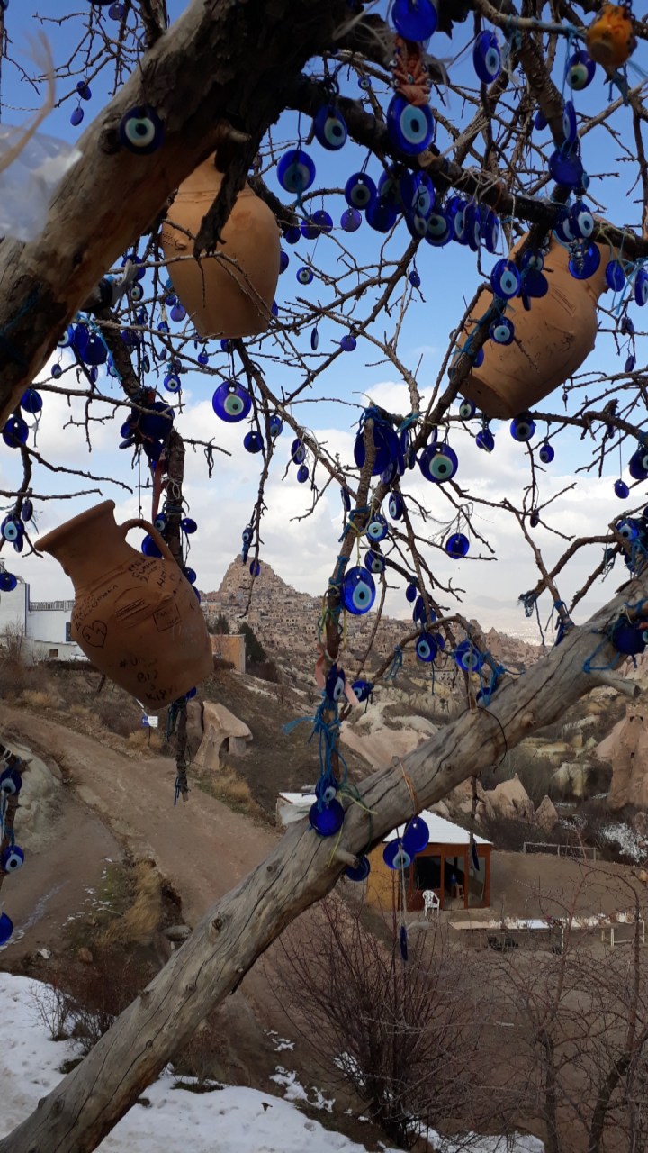 IMG_20190128_144337_608