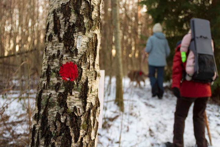 isveçte trekking-gülden notlar (7)