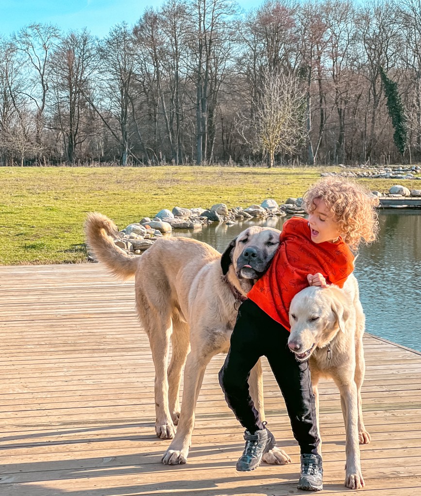 Çocuk Dostu Kış Otelleri
